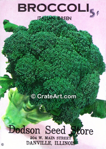 BROCCOLI (SV) #3117