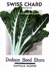 SWISS CHARD (SV) #3824