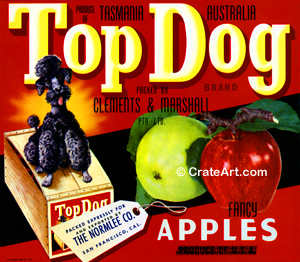 TOP DOG (AA)