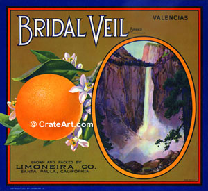 BRIDAL VEIL (O)