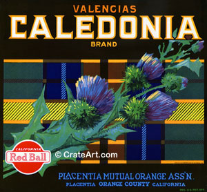 CALEDONIA (O) #2