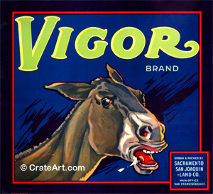 VIGOR (O) #2