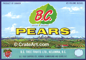 B.C. PEARS (PC) #1