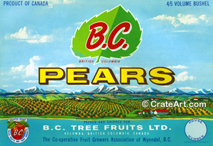 B.C. PEARS (PC) #2