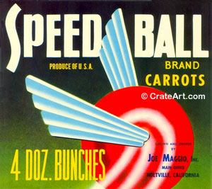 SPEED BALL (V)