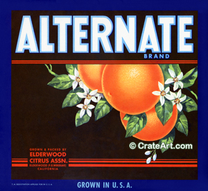 ALTERNATE (O)