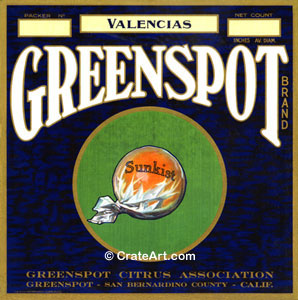 GREENSPOT (O) #1