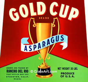 GOLD CUP (AP)