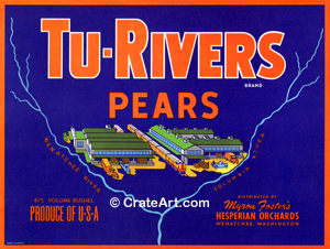 TU-RIVERS (P)