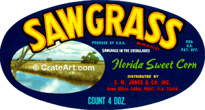 SAW GRASS (FS) (V)