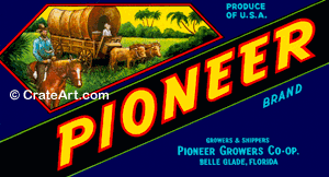 PIONEER (FS)