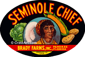 SEMINOLE CHIEF (FS) (V)