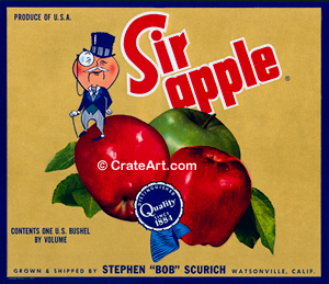 SIR APPLE (A) #2