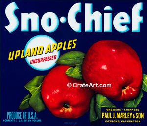 SNO-CHIEF (A)