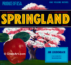 SPRINGLAND (A) #2