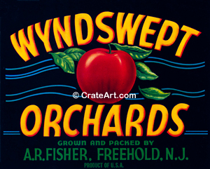 WYNDSWEPT ORCHARDS (A)