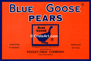 BLUE GOOSE (P) #4