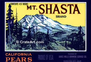 MT. SHASTA (P) #2