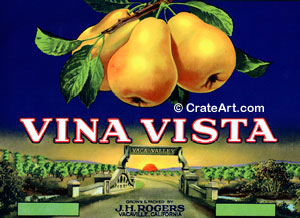 VINA VISTA (P)