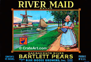 RIVER MAID (P) #1