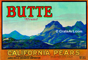 BUTTE (P)