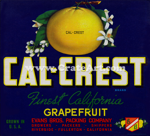 CAL-CREST (GF) #2