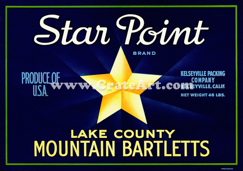 STAR POINT (P) #2