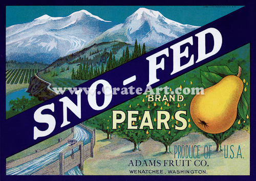 SNO-FED (P) #3