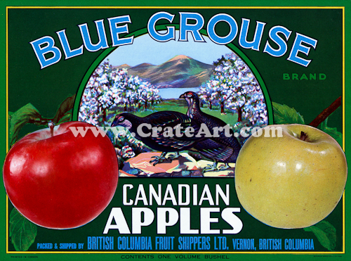 BLUE GROUSE (AC)