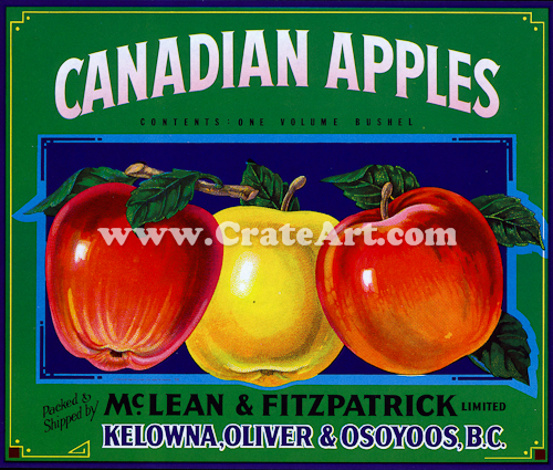 CANADIAN APPLES (AC) #1