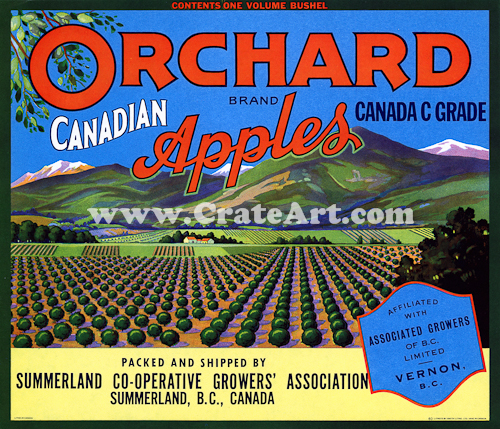 ORCHARD (AC) #2