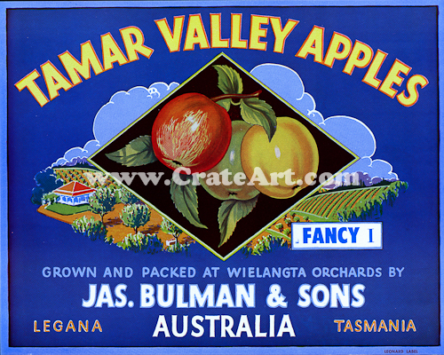 TAMAR VALLEY (AA) #1