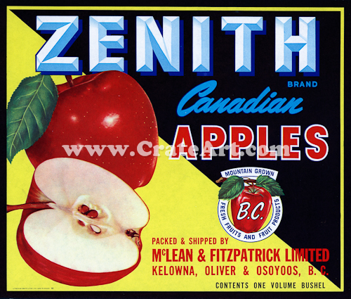 ZENITH (AC) #1