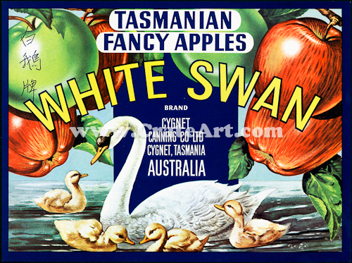 WHITE SWAN (AA) #1