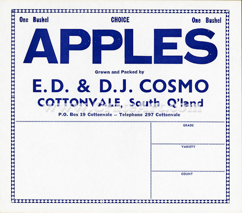 COSMO APPLES (AA)