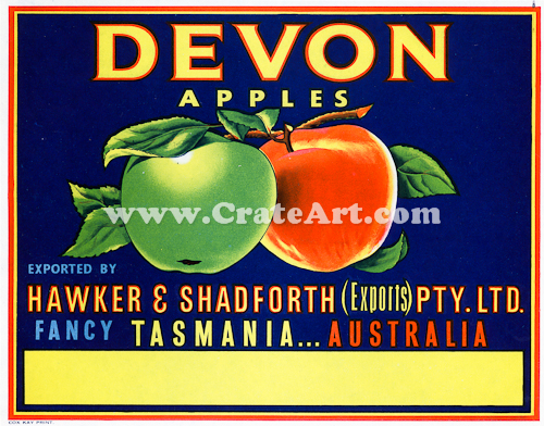 DEVON (AA) #3