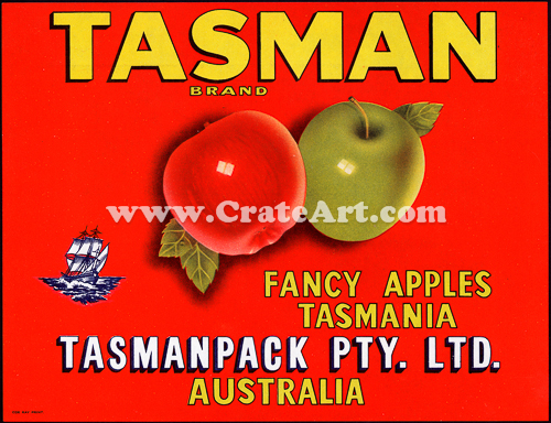 TASMAN (AA) #3