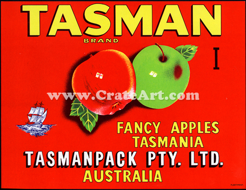 TASMAN (AA) #5