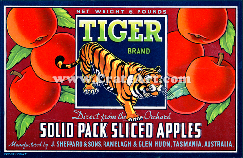 TIGER BRAND (AA) #2