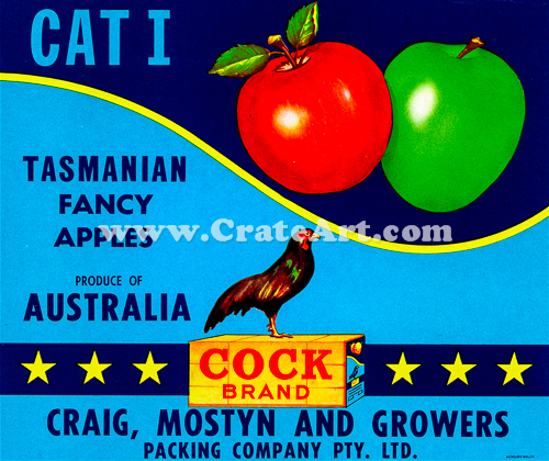 COCK BRAND (AA) #17