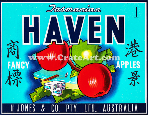 HAVEN (AA) #4