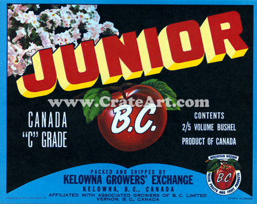 JUNIOR B.C. (AC) #3