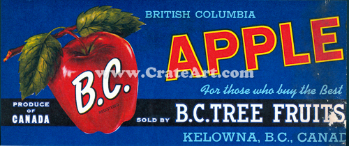 B.C. APPLE (AC)