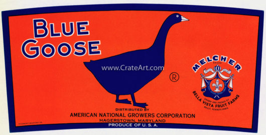 BLUE GOOSE (A) #09