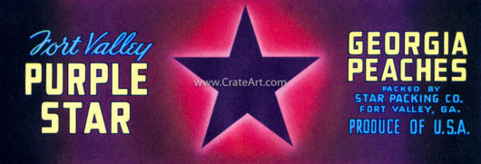 PURPLE STAR (PB)